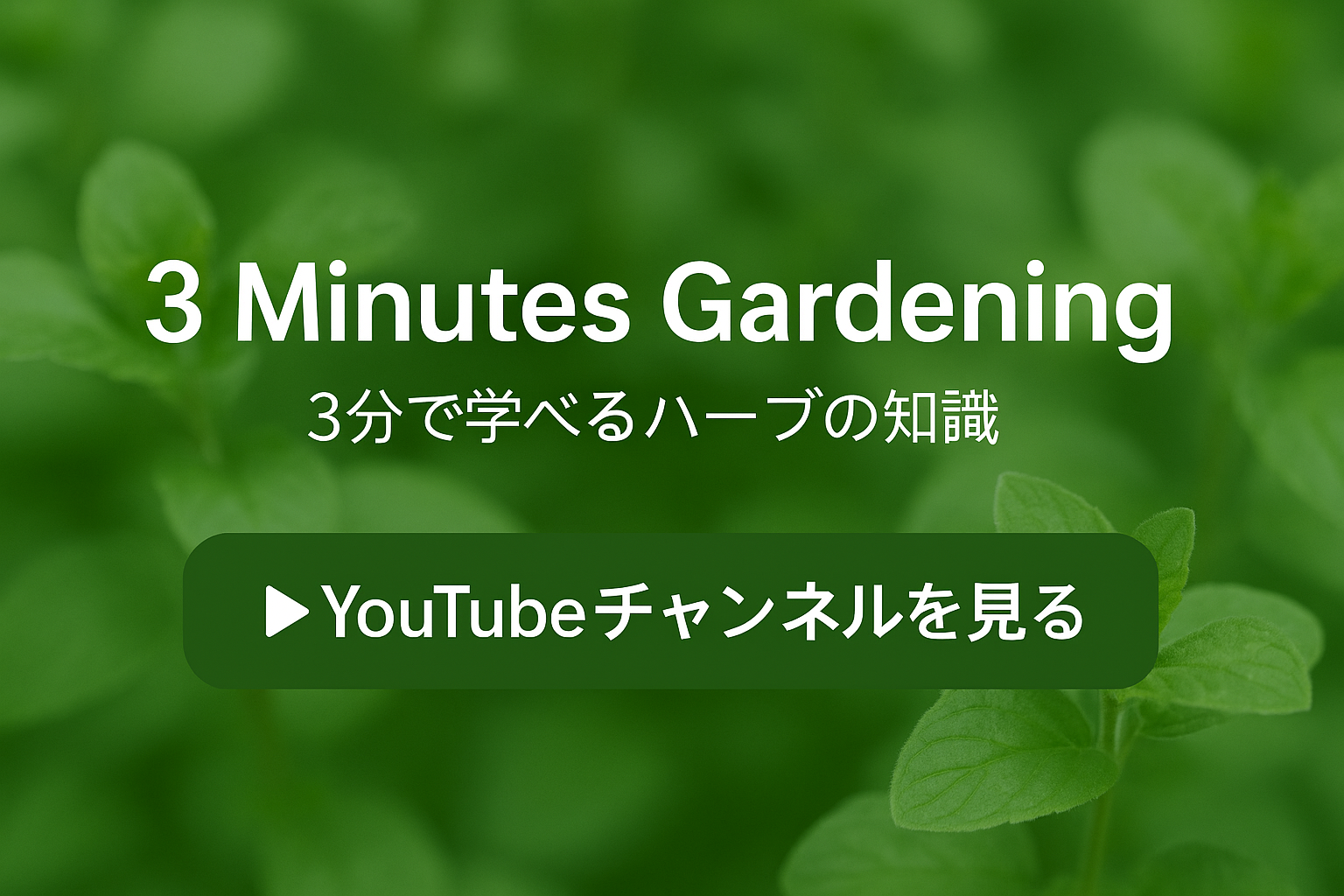 YouTubeチャンネルはこちら